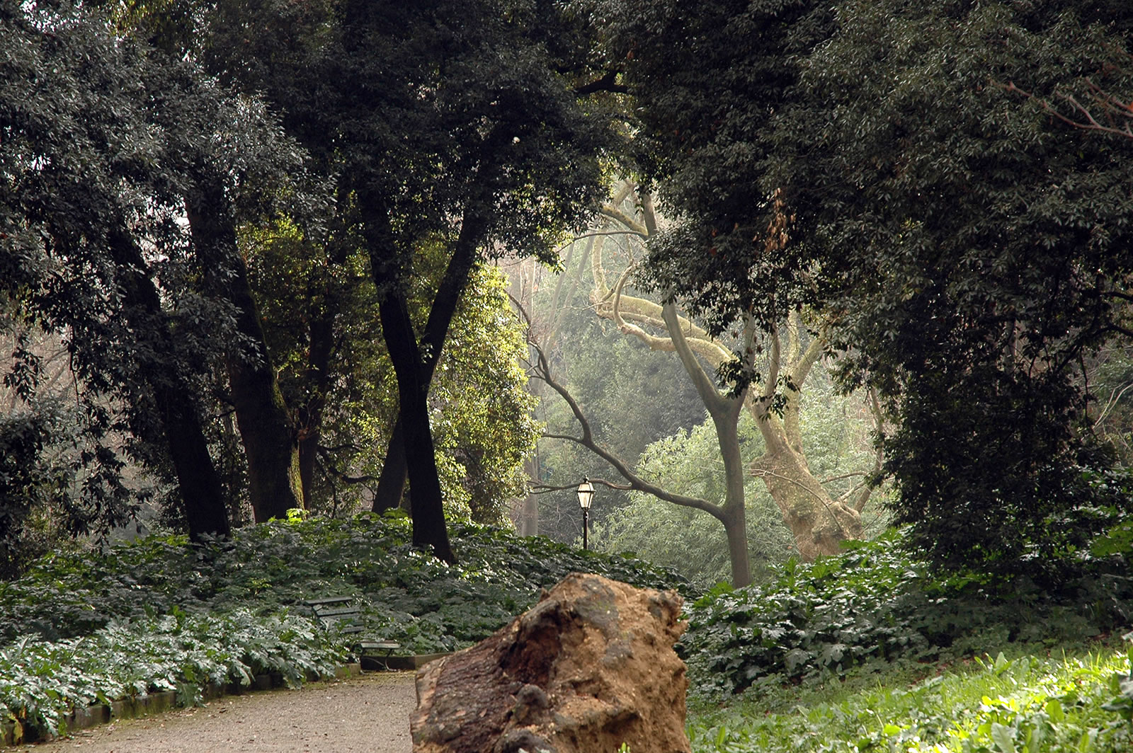 Orto Botanico, Roma